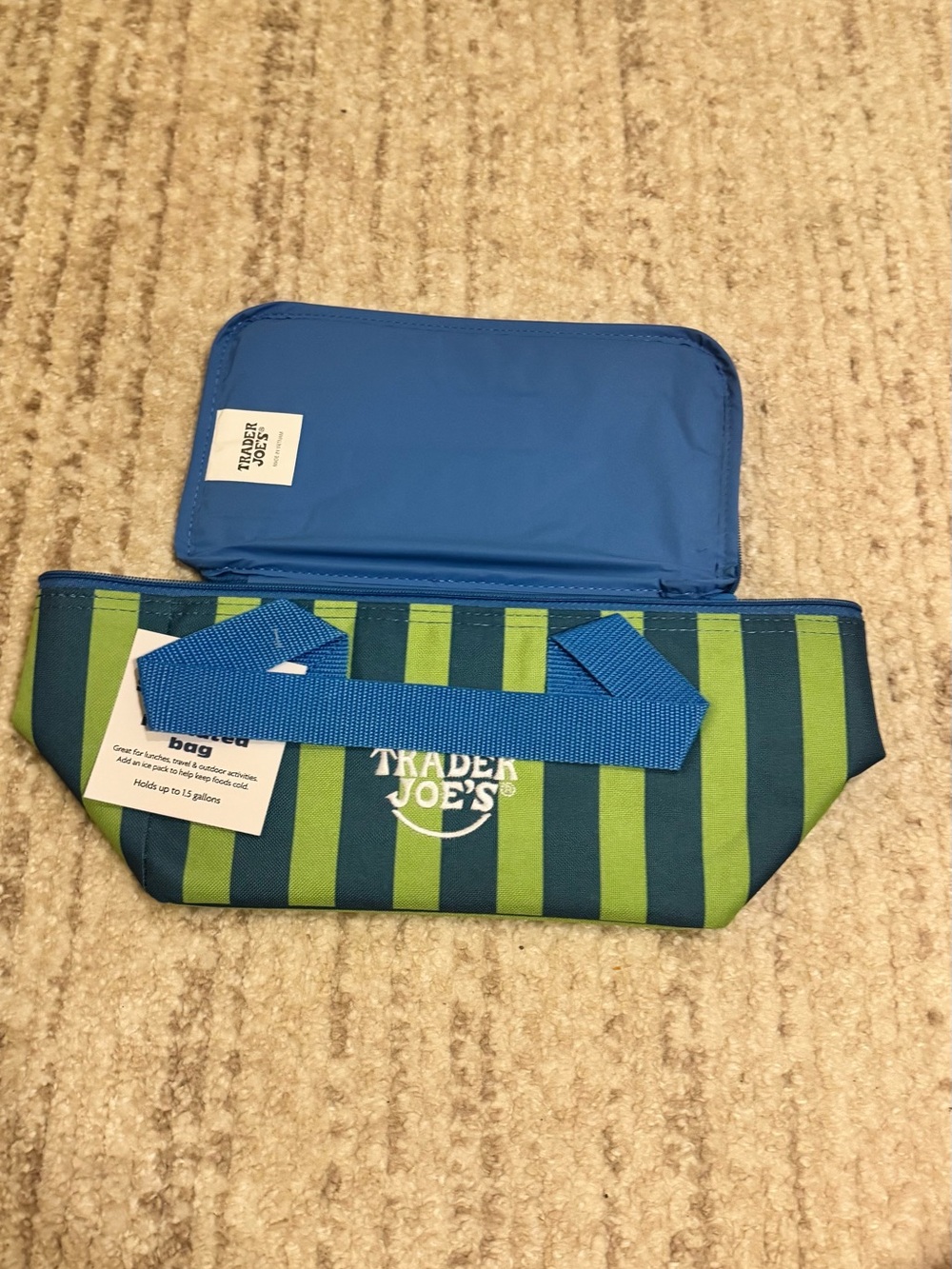 Trader Joe's Blue & Green Striped Insulated  Tote